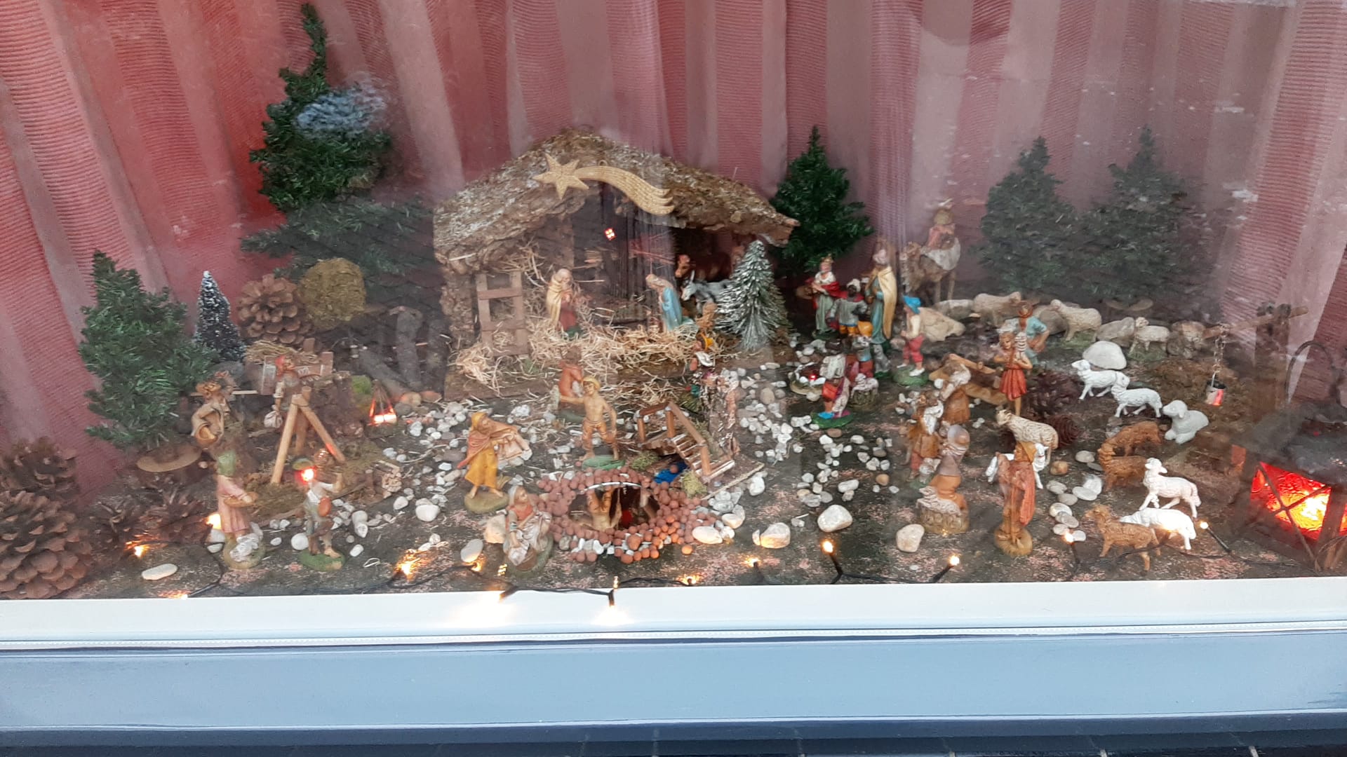 Kerststal Weegbree 4